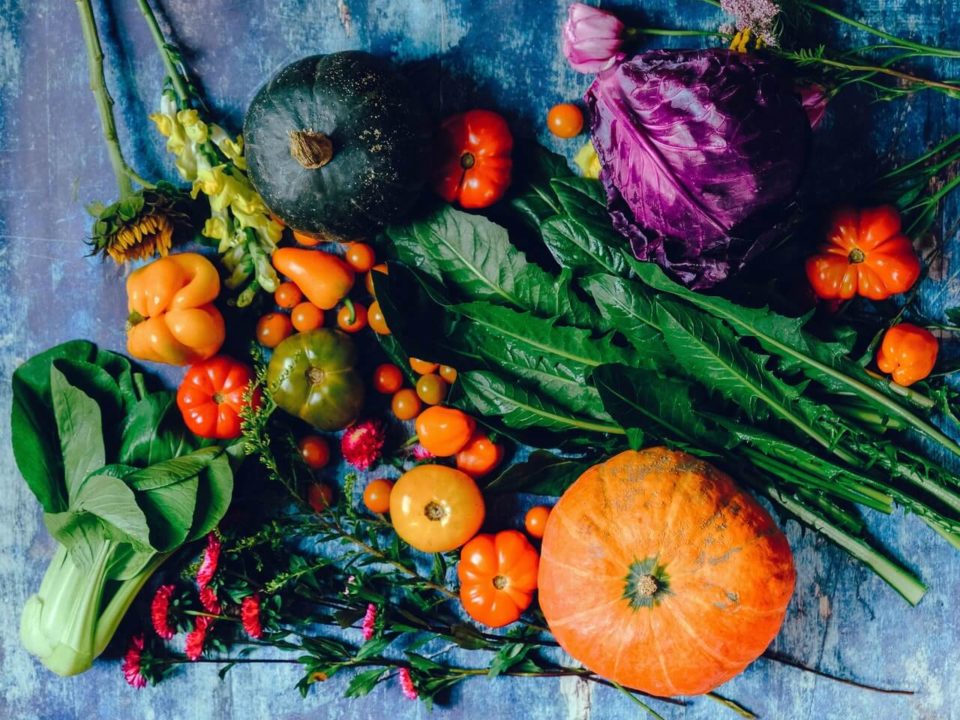 kolorowa wegetariańska dieta - kolorowe warzywa i kwiaty